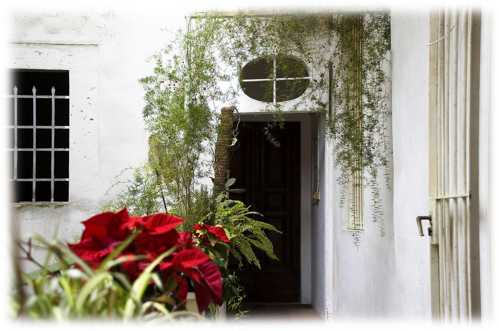 Florence Rental Apartamento Florença